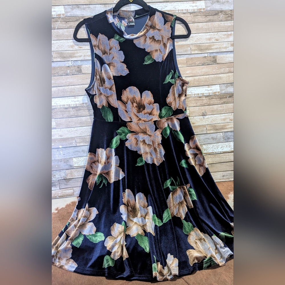I ❤️ Joah Brand Velvet Floral Sleeveless Dress